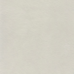 Архитектурная краска Lanors «Набук»/«Nabuck»
